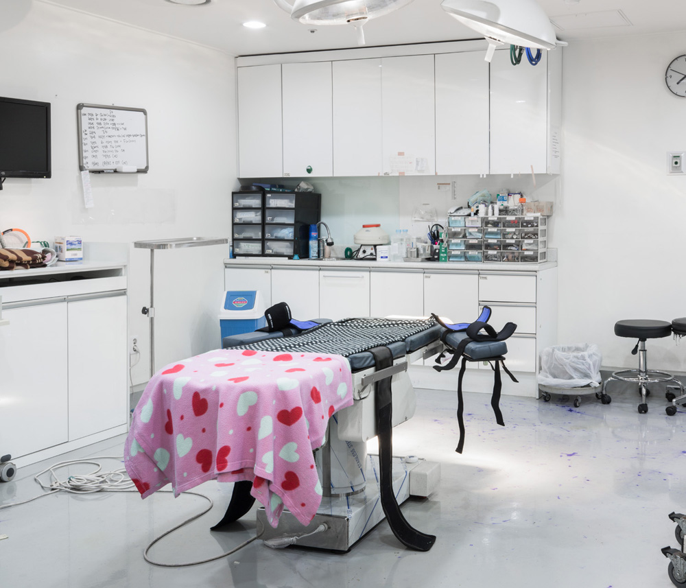 It Will Hurt A Little — Operating Theater, 3rd Floor